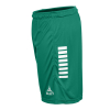 Шорти SELECT Monaco v24 player shorts Green